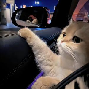 动漫中的吃奶段 无遮暇
